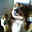 Avatar de juan_ca639
