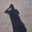 Avatar de jadais