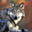 Avatar de velociraptor53