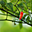 Avatar de ponja621