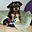 Avatar de puccasha