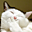 Avatar de vanina76