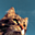 Avatar de sharl1ne