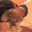Avatar de WilsonGuille