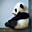 Avatar de supai2