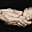 Avatar de pettro