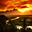 Avatar de ianip441