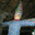 Avatar de lutxo