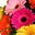 Avatar de aiyana85