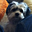 Avatar de shaodokin501