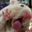 Avatar de jishermo