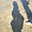Avatar de Nereites