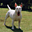 Avatar de mauroalek