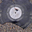 Avatar de vinilobondixman