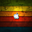 Avatar de spgdl