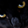 Avatar de vrizzo