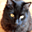 Avatar de miaulau