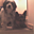 Avatar de Raquel