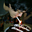 Avatar de adf_