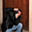 Avatar de loquimet