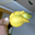 Avatar de puntadoncella