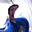 Avatar de Scainet