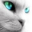 Avatar de Juliopp 