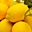 Avatar de limon77