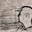 Avatar de Fran Frannao