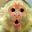 Avatar de lumbrers