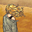 Avatar de ishtark