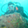 Avatar de Joao Howell