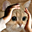 Avatar de jmr08