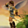 Avatar de Okes