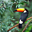 Avatar de nicolas30seat