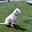 Avatar de azo20fsi20v