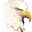 Avatar de maestredecampo