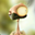 Avatar de pedrogarcia