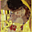 Avatar de irisamelie