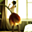 Avatar de maritrend
