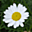 Avatar de wabo 