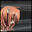 Avatar de fiecerc