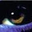 Avatar de Matt Bell 