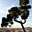 Avatar de Xuk