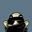 Avatar de siebcn