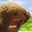 Avatar de AlJ90 