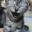 Avatar de Jeth