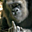 Avatar de cocacololight