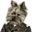 Avatar de pakendo