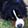 Avatar de xibeva